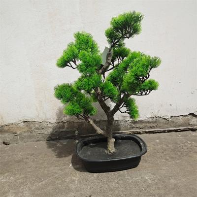 China Large Natural Touch Plant Indoor And Outdoor Landscape Bonsai Wedding Arrangement Hotel Office Home Artificial Pine Tree for sale