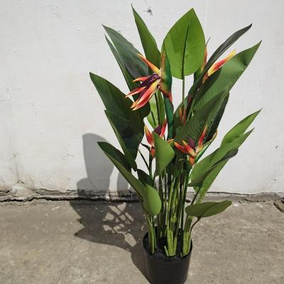 China Large Touch 0.9m Natural Plant Indoor And Outdoor Landscape Bonsai Wedding Decoration Hotel Office Bird Of Paradise Artificial Tree for sale