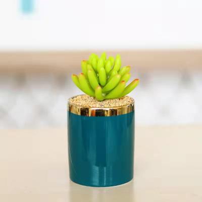 China Home Office Wholesale Decorative Desert Touch Simulation Potted Plants Natural Succulent Ceramic Plants for sale