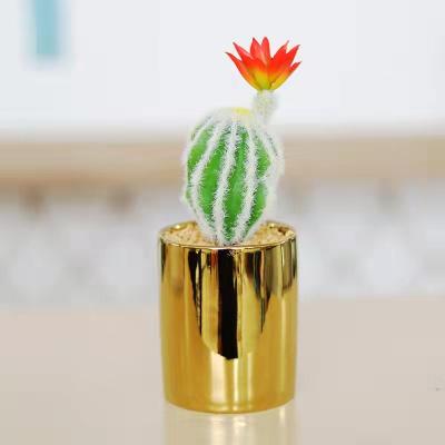 China Interior Ministry Natural Gold Ceramic Potted Cactus Plant Desert Touch Decorative Simulation Plant for sale