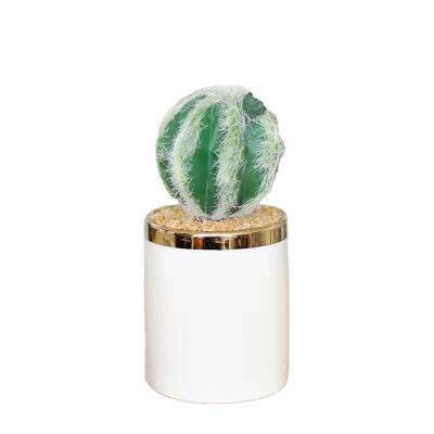 China Home Office Wholesale Decorative Desert Touch Simulation Potted Plants Natural Succulent Ceramic Plants for sale