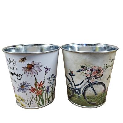 China Beautiful Metal Succulents Combination Colorful Iron Bucket Christmas Candy Jar Floral Decorations for sale