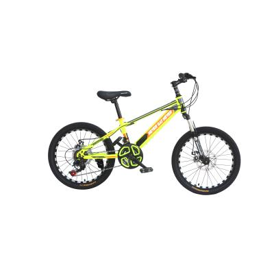 China Wholesale Best Price Popular Fashion Color Steel 20 Inch Kids Mountain Bike for sale