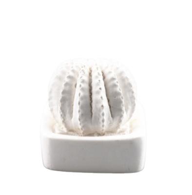 China Viable White Ceramic Cactus Car Home Decoration Scented Aroma Plaster Fragrance Essential Oil Diffuser for sale