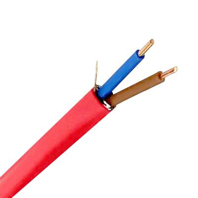 China High Quality Two Core Networking Real Fire Alarm System Cable Control Solid Copper Cable for sale