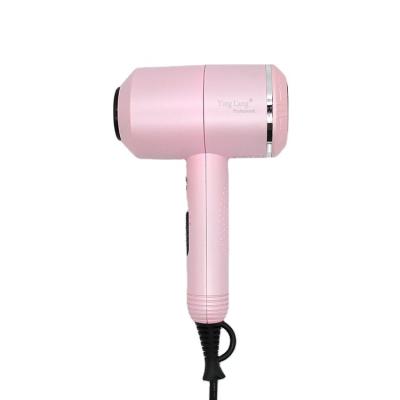 China New Arrival Low Price Ionic Curly Hair Styler Blow Dryer and Blow Dryer Hair For Curly Hair for sale