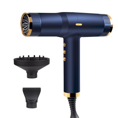 China Manufacturer New Arrival High Speed ​​Ionic Hair Dryer with Negative Ions and Brushless DC Motor for sale