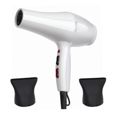 China 2021 Ionic New Best Quality Private Label Salon Blow Dryer With 2 Pcs Nozzles for sale