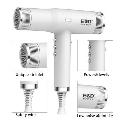 China Slim Constant Temperature BLDC Ion Motor Certificate FCC Smart Ionic Home Hair Blow Dryer for sale