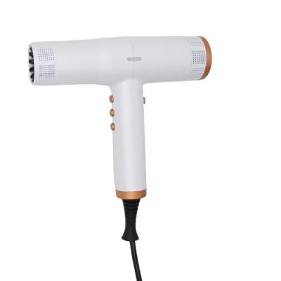 China ETL Certificate Ionic Private Label Hair Dryer Custom Professional Hair Blow Dryer 1800W for sale