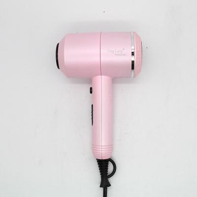 China Custom Professional LOGO Ionic Hair Dryer Salon Anion Hair Dryer for sale