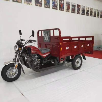 China Cargo China Factory Good Quality For Adults Generator Gasoline Cargo Tricycle for sale