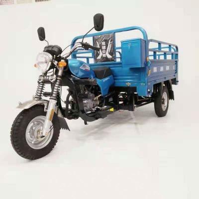 China High End Customized 3 Wheel Motorcycle Gasoline Cargo Tricycle With Backrest Seat for sale