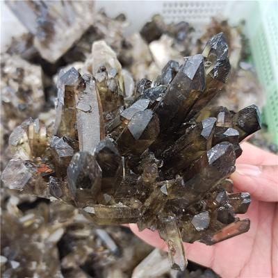 China Black Natural Smoky Citrine Crystal Clusters For Decoration Healing Quartz Cluster Wholesale From Europe Beautiful for sale