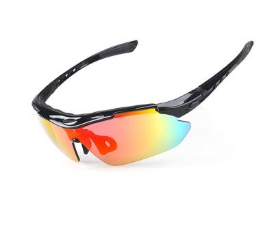 China La niebla anti polarizó el rasguño de las gafas de sol del deporte resistente para las mujeres y los hombres en venta