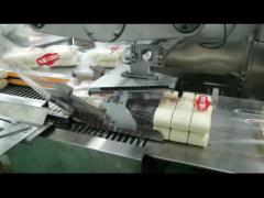 High Speed Horizontal Pillow-Shape Automatic Wrapping Packing Machine (SWSF-450)