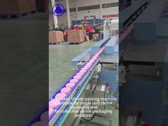 Automatic Shrink Wrapping Machine