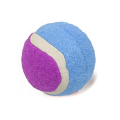 China Gym Factory 6 7cm Directly Supply Mini Blue Tennis Balls OEM Wholesale Tennis Balls for sale