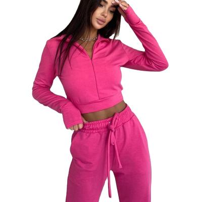 China 2022 Wholesale Custom Women QUICK DRY Clothing Sweat Panties And Hoodie Set Long Sleeve Cotton Zip Up Cropped Hoodie 2 Piece Set for sale