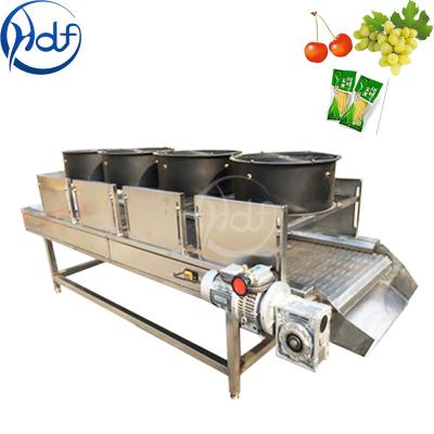 Chine Machine végétale continue de dessiccateur de fruit, largeur 600mm de bande de conveyeur de machine de déshydrateur de nourriture à vendre