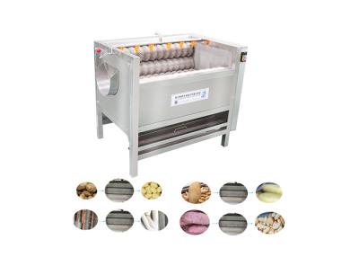 China 2020 New Electric TypeVegetable Washing Machine  Fruit Peeling Machine With Good Price for sale