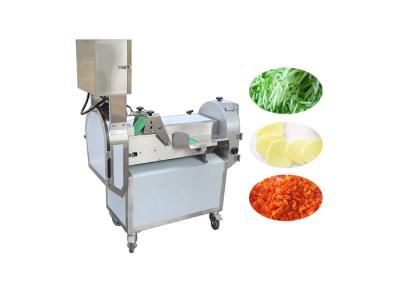 China máquina de corte 1000kg/H vegetal Multifunction à venda