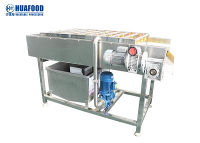 China Industrial Brush SUS304 Vegetable Washing Machine for sale