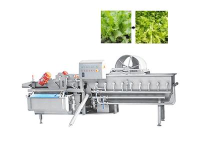 China Máquina de lavar automática industrial 1000KG/H do vegetal de fruto do redemoinho à venda