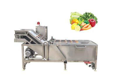 China Water Recycle Fruit Plum 0.5Ton/h Vegetable Washing Machine for sale