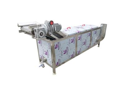 China de Framboos van 300kg/h 2.95kw Plantaardige het Bleken Machine Te koop