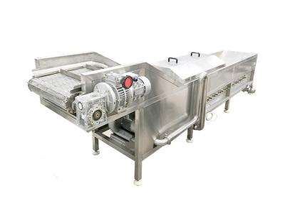 China Llantén vegetal Chips Blanching Machine de 300kg/h SS304 en venta