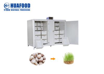 China 250kg/d Automatic Quick Mung Bean Sprout Machine Barley Bean Sprout Machine for sale