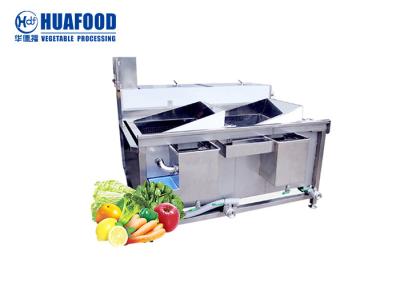 China 20kg/Time Vegetable Washing Machine Industrial Vegetable Bubble Washing Machine for sale