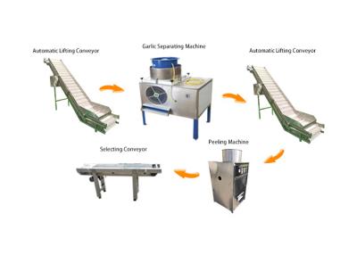 China Línea de transformación larga del ajo de la vida laboral de la gama ancha funcional multi de la salida en venta