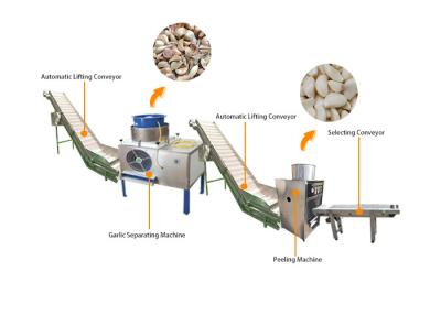 Cina Aglio commerciale che sbuccia linea lampadina dell'aglio della macchina di Peeler che rompe macchina in vendita