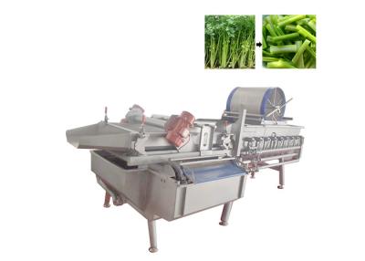 China De groene van de de Wasmachinesla van de Bladgroente van de de Koolsalade Commerciële Plantaardige Wasmachine Te koop