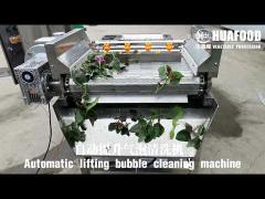 lifting bubble vegetable washing machine