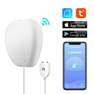 China Danwish smart home life tuya wifi alarm water flow leak sensor DW-LS10 for sale