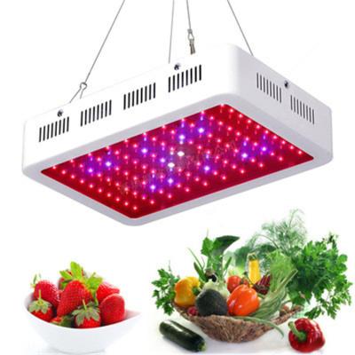 China Others 300w Hydroponic Full Spectrum LED Grow Light For Grow Box Growshop for sale