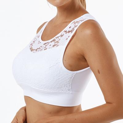 China Solid lace sports bra top Korean women's fitness antibacterial sexy sports bra woman for sale