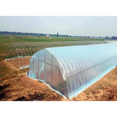 China Easily Assembled Green House Green Frame Low Cost Vegetables Greenhouse Single-Span Greenhouse for sale