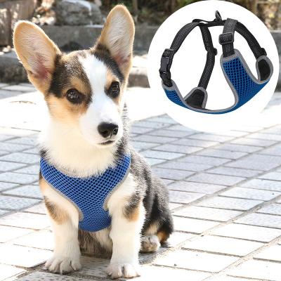 China New Style Personalized Custom Dog Harness Set Modern Fashion Durable Adjustable Dog Harness for sale