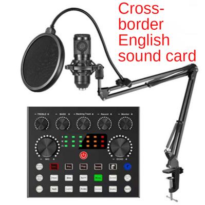 Cina youtuber karaoke isolation shield studio recording microphone For Broadcasting in vendita