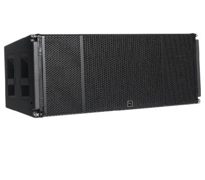 China Pro Audio Passive Line Array Speakers 1200W Professional Metal Body Outdoor zu verkaufen