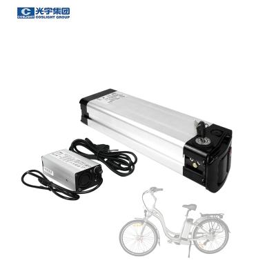 China De Batterijlithium Ion Battery van de Coslight48v 20ah Elektrisch Fiets Te koop