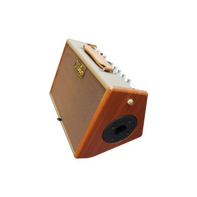 China Professional GUITAR Sound Equipment Power Mixer Amplifiers Speaker For Electric Guitar Bass Guitar Ukulele Acoustic Guitar for sale