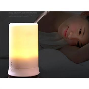 China Colorful PP Lamp Aroma Diffuser Air Purifiers Negative Night Loniser Humidifier for sale