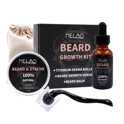 China Beard Oil Grooming Kit Private Label Beard Care Daily Men's Gift For Men for sale