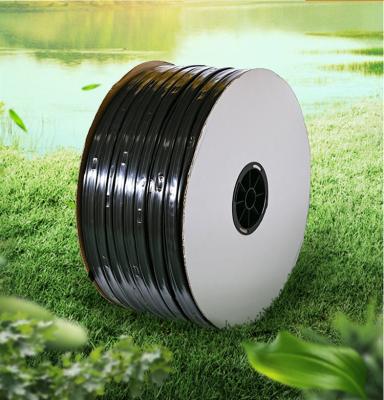 China Agriculture Irrigation Factory Price Continuous Tape Drip Irrigation Double Line Belt For Water-saving for sale