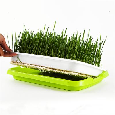 China Hydroponic Free Soilless Cultivation Tray Soilless Seed Sprouter Kit Agriculture Irrigation Germination Germination Wheatgrass Healthy Cultivator with Lid Sprouting Kits for sale